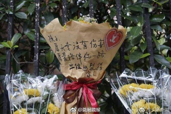 老熟人！尼克斯就助教职位申请与普里吉奥尼交谈 森林狼同意了